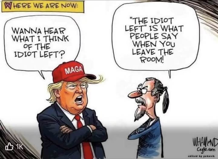 idiot.jpg